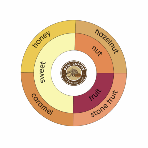 Costa Rica Santa Lucia Etiope 47 Red Honey