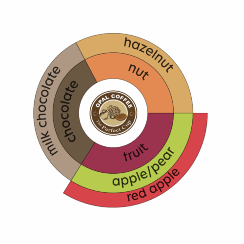 Costa Rica Joicafe Rested & Washed