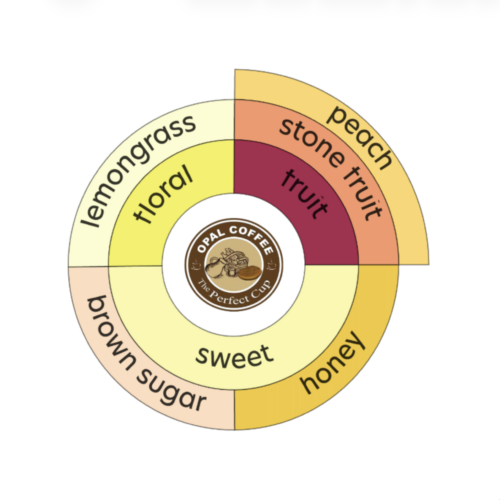 Honduras Jorge Nery Espinoza Honey