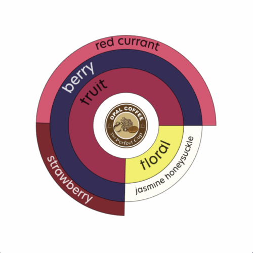 Honduras Jorge Nery Espinoza Honey