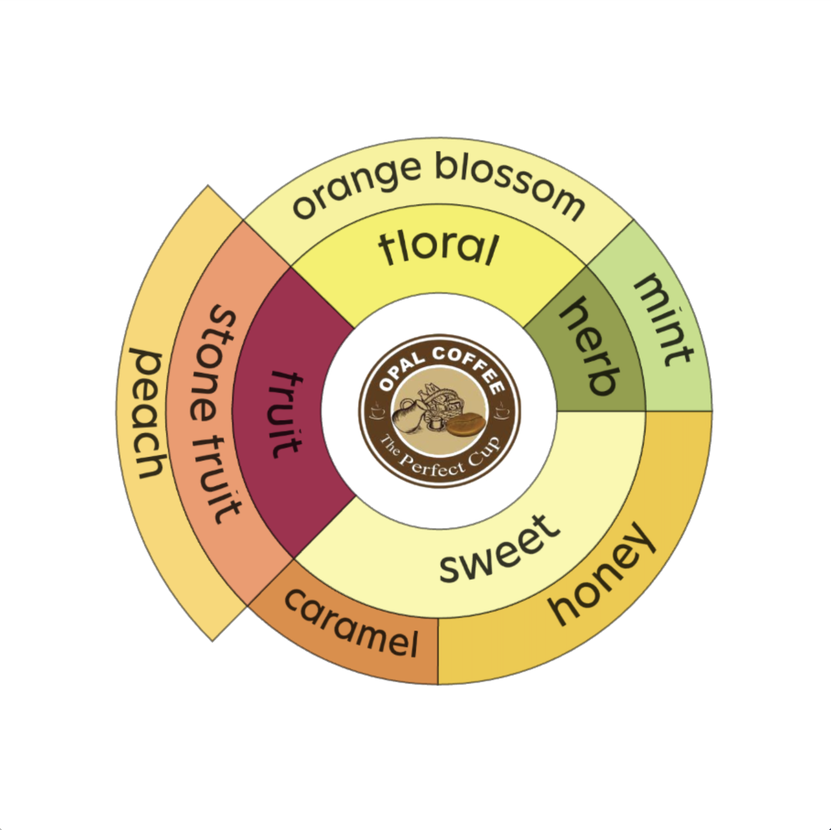 Honduras Tomasa Ramirez Washed