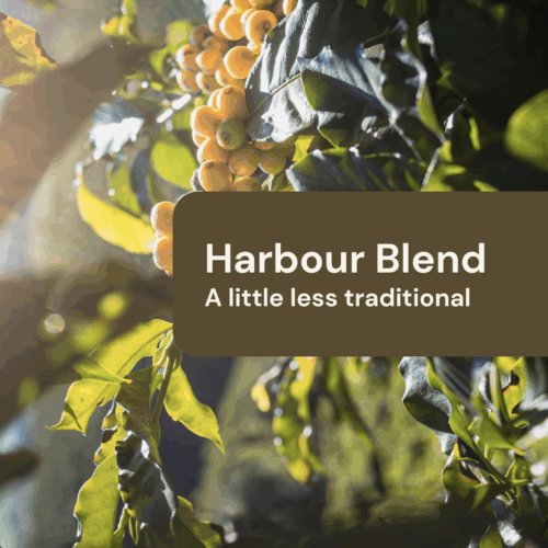 Harbour Blend