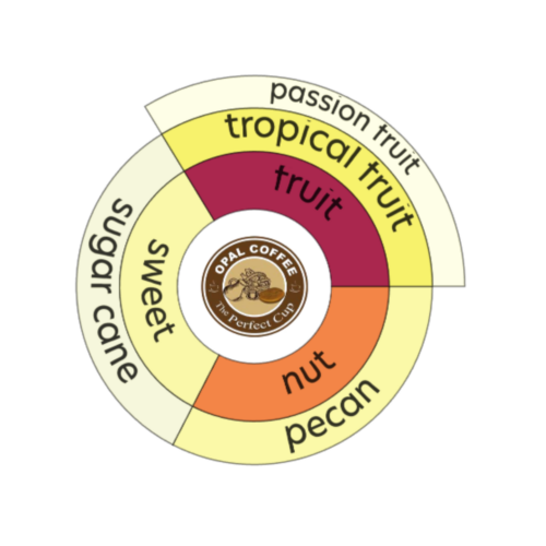 Brazil Mantiqueira de Minas 16UP Pulped Natural