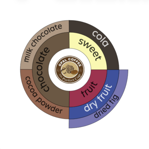 Colombia Cauca EP Washed