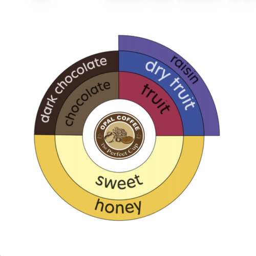 Brazil Fazenda Santa Inês 16+ Natural