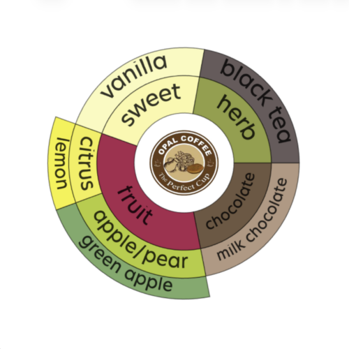 Ethiopia Guji Shakiso GR2 Washed