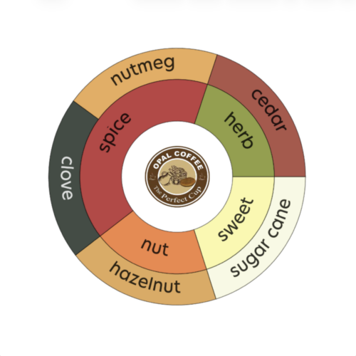 Indonesia Java Jampit Washed